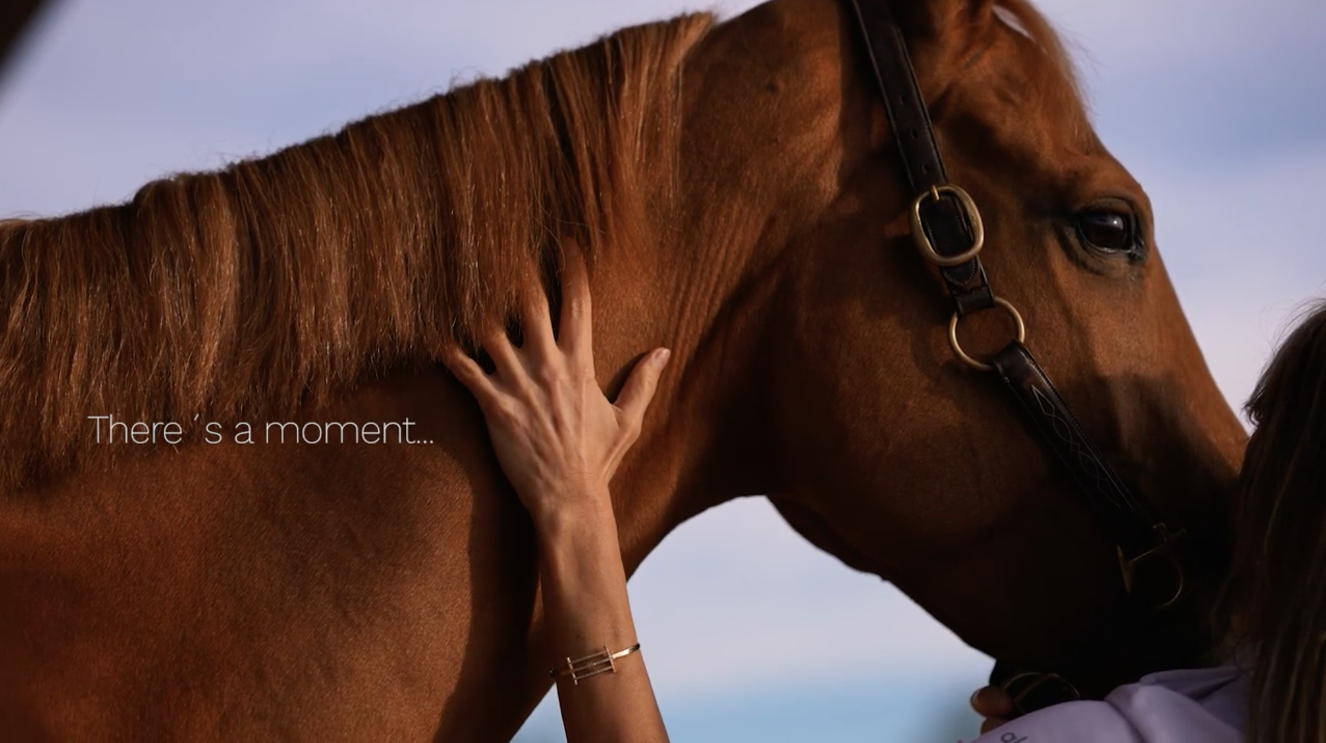 Helene — Helene — Marca premium para hipismo